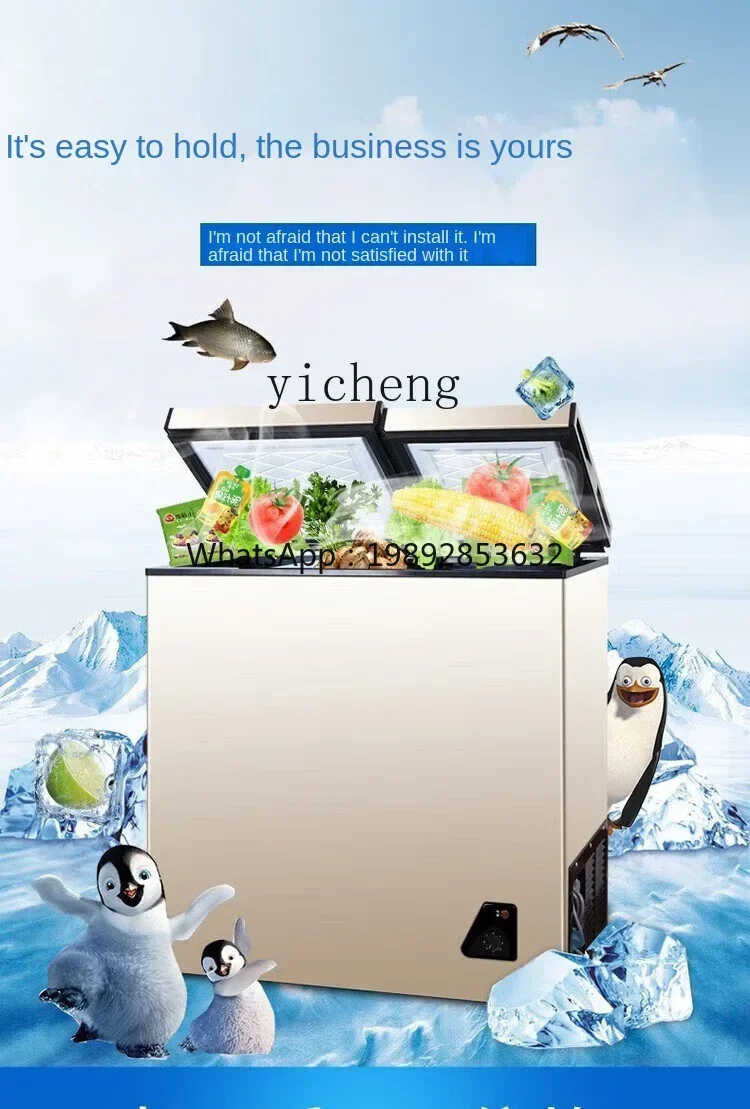 Food Storage And Temperature - Huishoudelijke volledig diepvries kleine mini energiezuinige