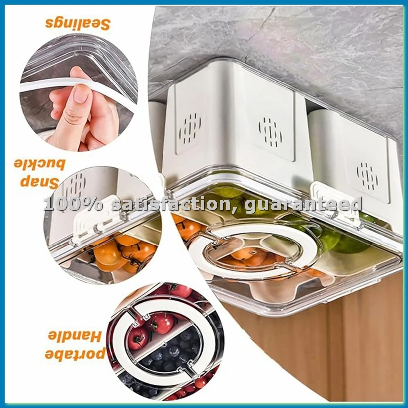 Food Storage Large - Fruitbak voor grote picknickkoelkast, transparante snackbox