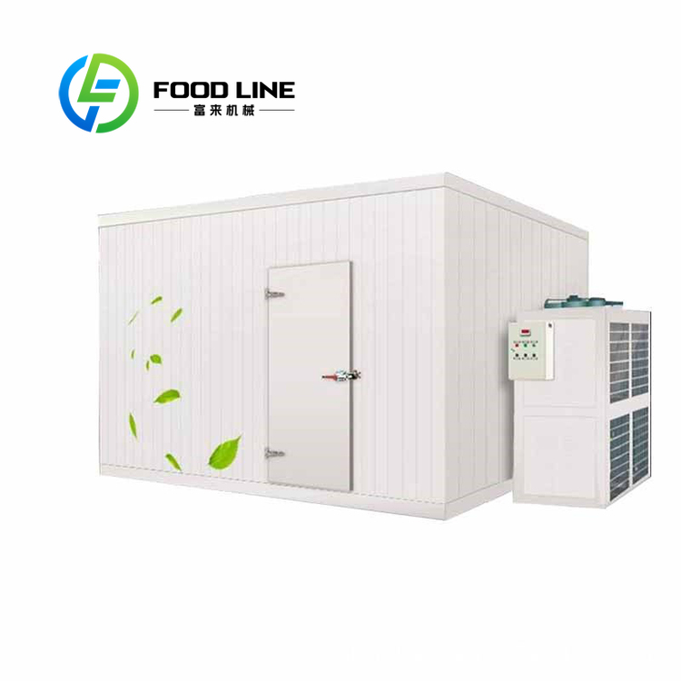 Vaste koelcel met temperatuurr - Food Storage For Long Term recensie en prijs